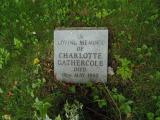 image of grave number 819789